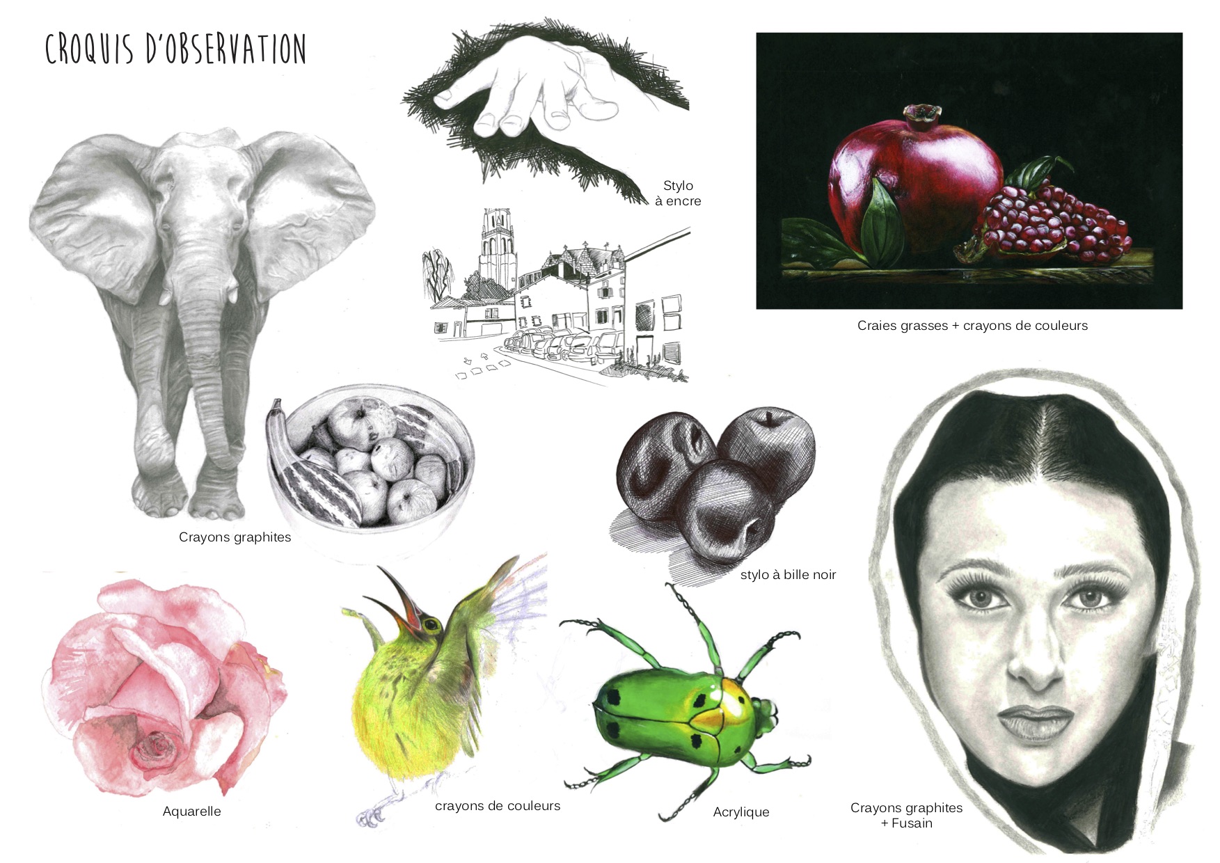 croquis d'observation