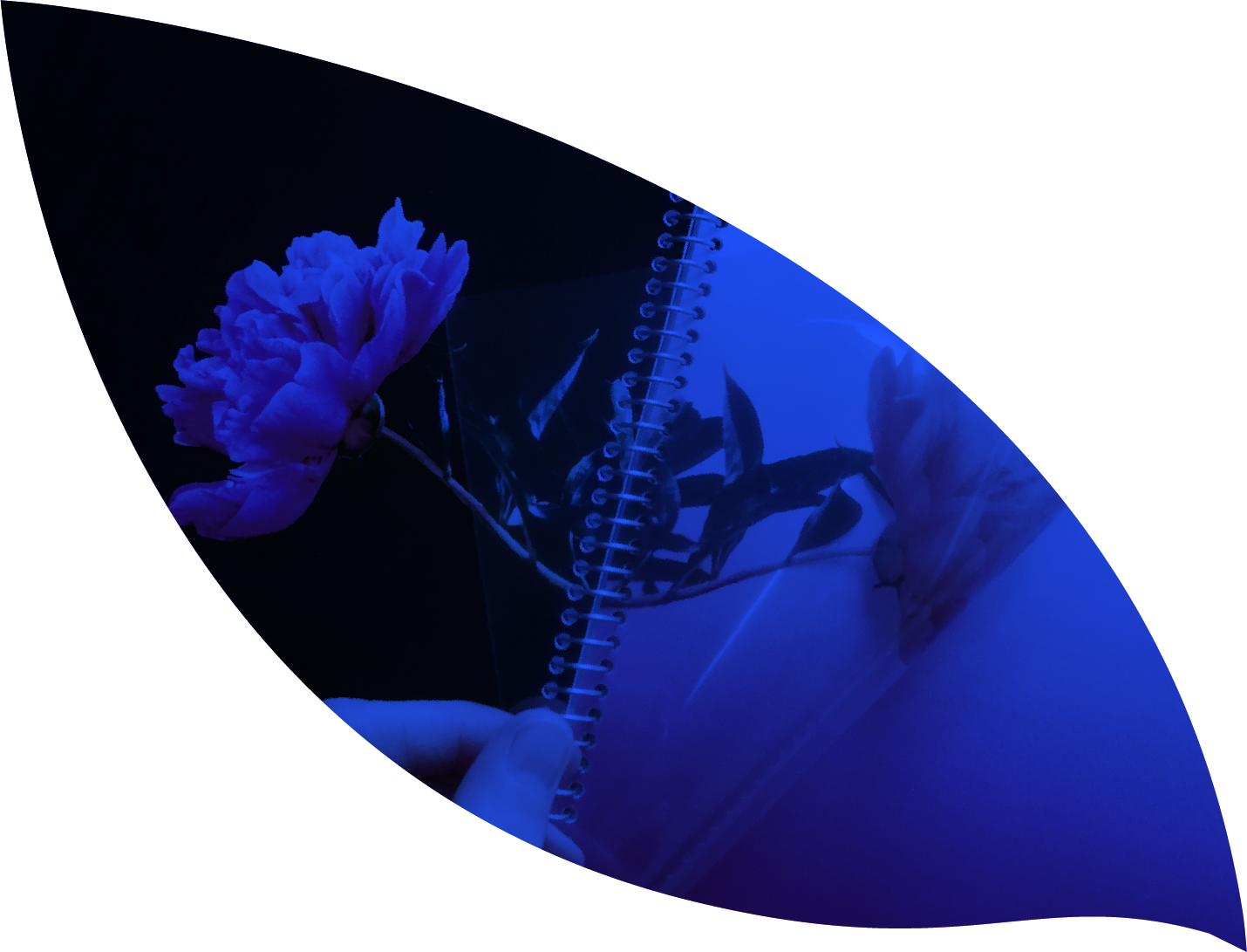 Mémoire de fin d'année